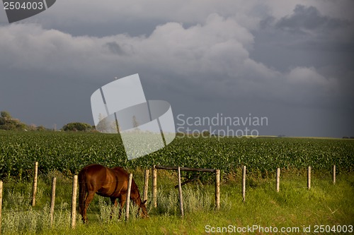 Image of Prairie Storm Clouds