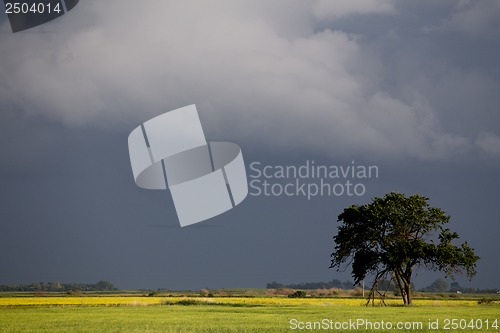 Image of Prairie Storm Clouds