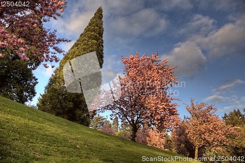 Image of washington park portland