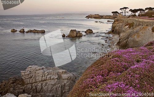 Image of Monterey Coast California