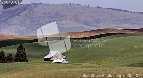 Image of Palouse scenic Washington