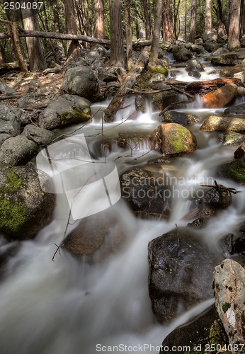 Image of Yosemite National Park