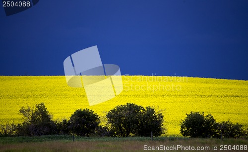 Image of Prairie Storm Clouds