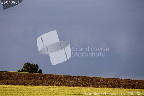 Image of Prairie Storm Clouds