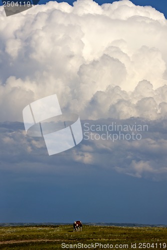 Image of Prairie Storm Clouds