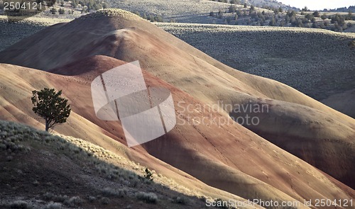 Image of Painted Hills Oregon