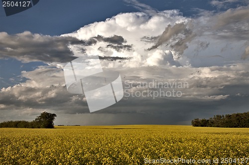 Image of Prairie Storm Clouds