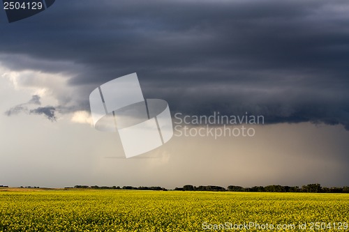Image of Prairie Storm Clouds