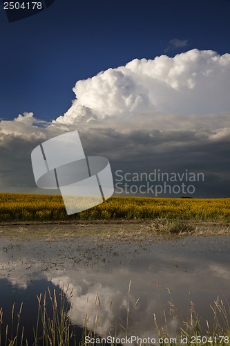 Image of Prairie Storm Clouds