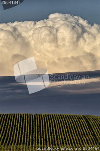 Image of Prairie Storm Clouds