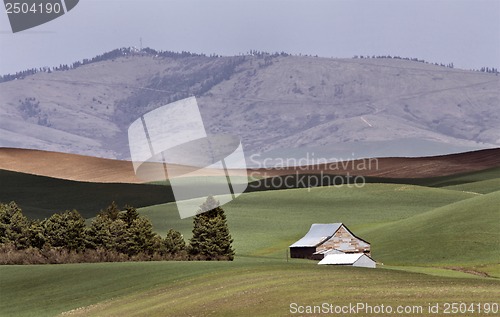 Image of Palouse scenic Washington