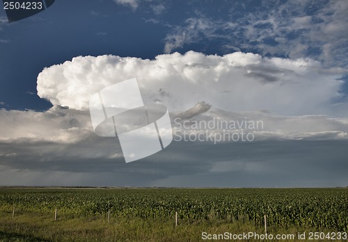 Image of Prairie Storm Clouds