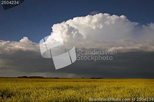 Image of Prairie Storm Clouds