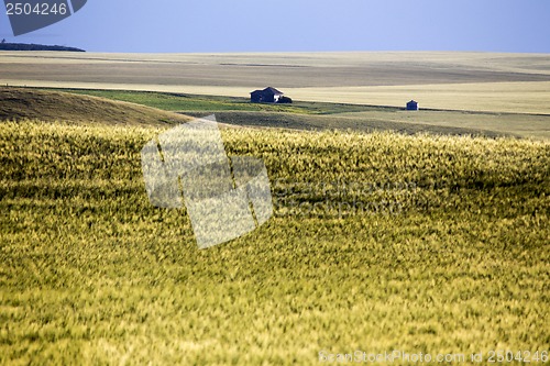 Image of Abandoned Farm Saskatchewan