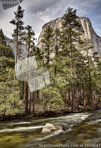 Image of Yosemite National Park