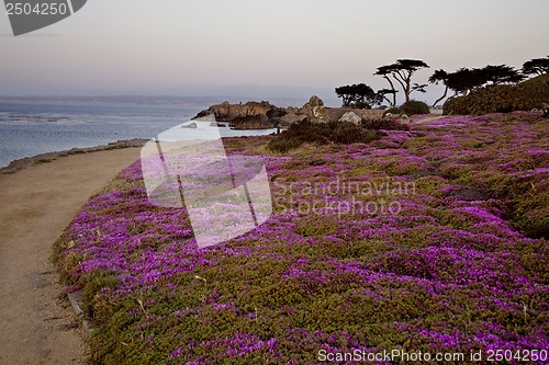 Image of Monterey Coast California