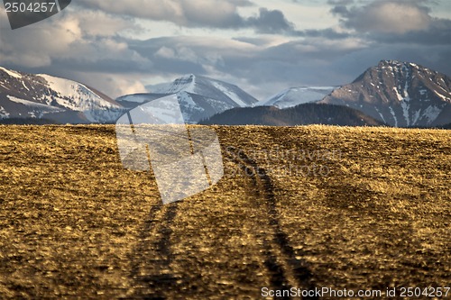 Image of Wind Farm Canada