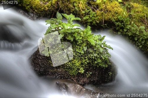 Image of columbia river gorge Oregon