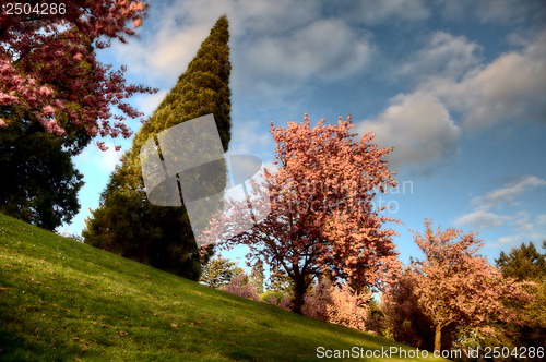 Image of washington park portland