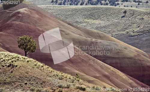 Image of Painted Hills Oregon