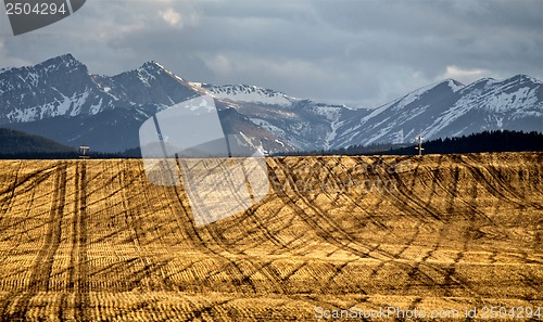 Image of Wind Farm Canada