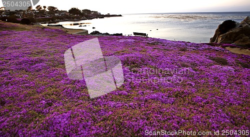 Image of Monterey Coast California