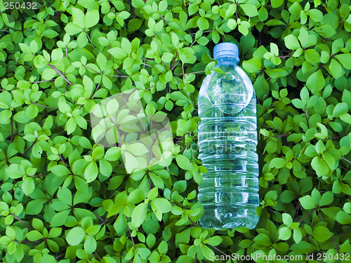 Image of fresh&healthy drink