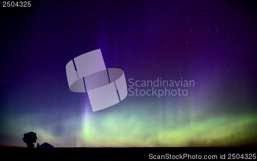 Image of Northern Lights