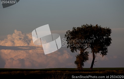 Image of Prairie Storm Clouds