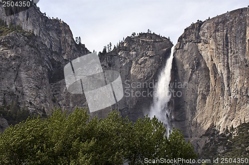 Image of Yosemite National Park