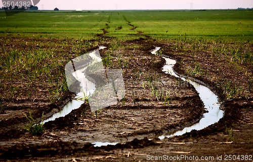 Image of Wet tractor tire tracks