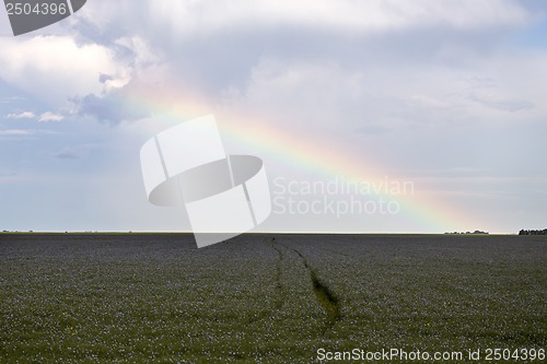 Image of Prairie Storm Clouds