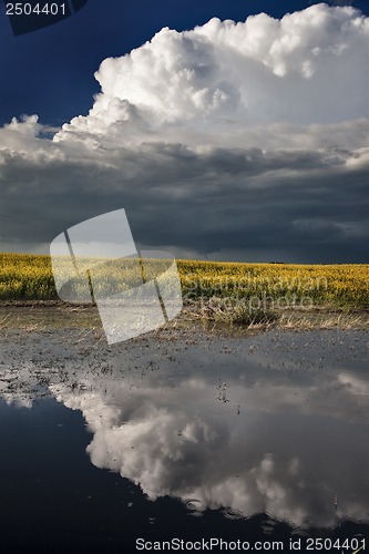 Image of Prairie Storm Clouds