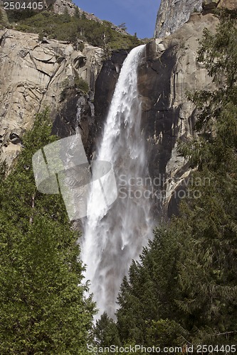 Image of Yosemite National Park