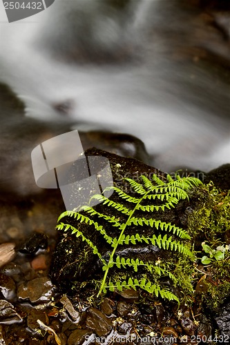 Image of columbia river gorge Oregon