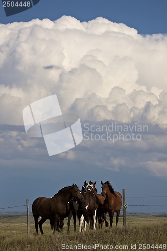 Image of Prairie Storm Clouds