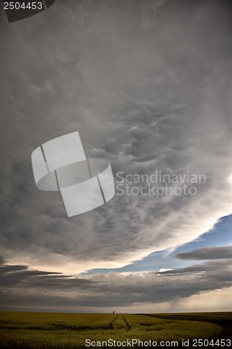 Image of Prairie Storm Clouds