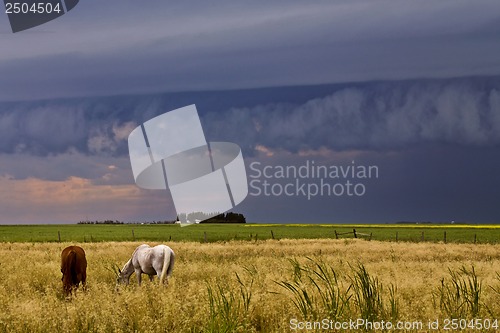 Image of Prairie Storm Clouds