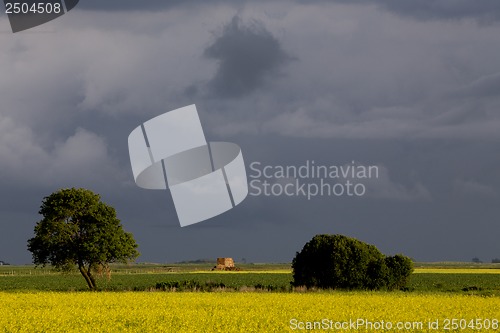 Image of Prairie Storm Clouds