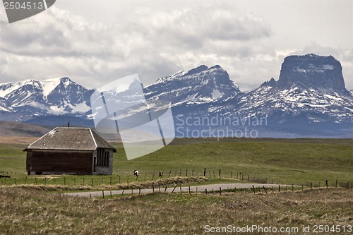 Image of Chief Mountain Waterton Park