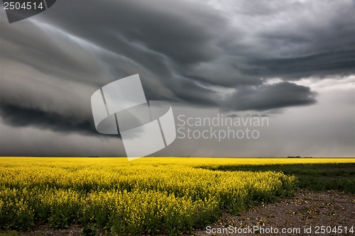 Image of Prairie Storm Clouds