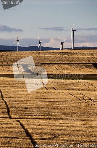 Image of Wind Farm Canada