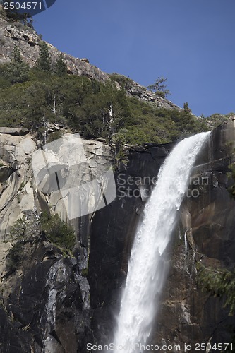 Image of Yosemite National Park