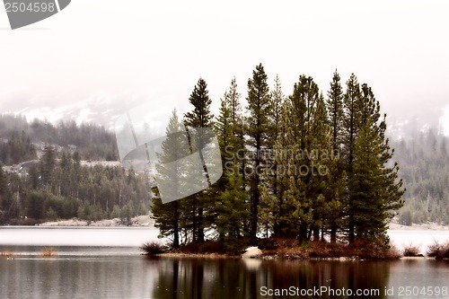 Image of Yellowstone National Park