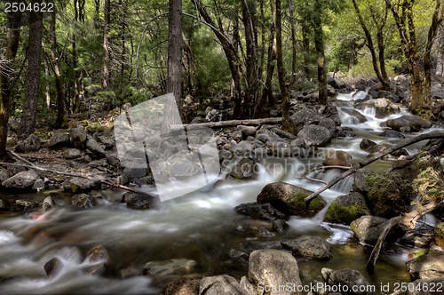 Image of Yosemite National Park