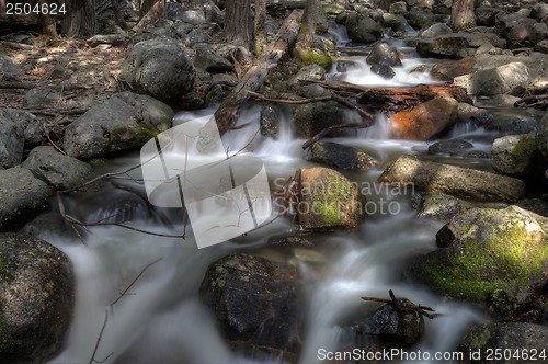 Image of Yosemite National Park