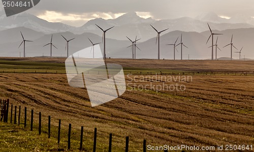 Image of Wind Farm Canada