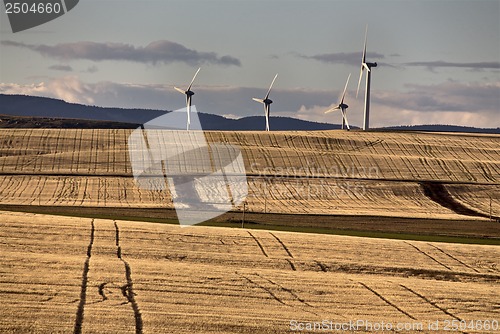 Image of Wind Farm Canada