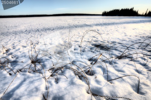 Image of Northern Frozen Lake