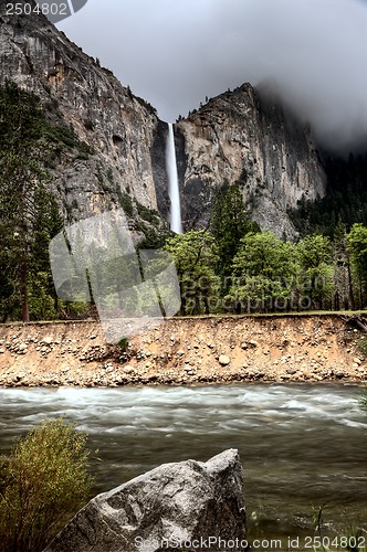 Image of Yosemite National Park